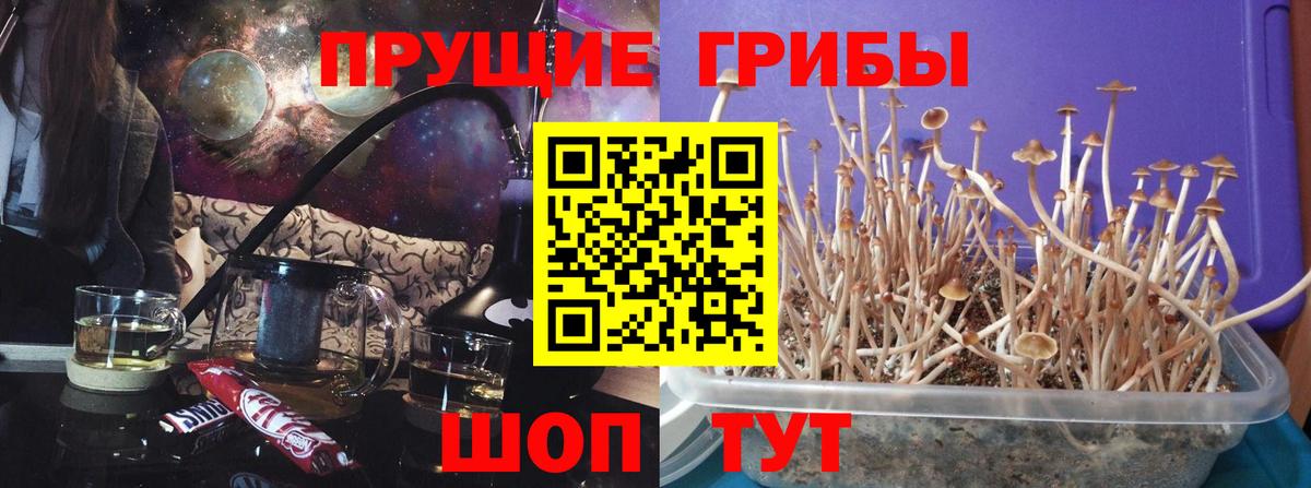 Новочеркасск  Псилоцибиновые грибы прущие грибы  Галлюциногенные грибы ЛСД  Вход с VPN 